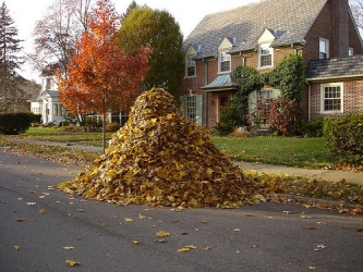 heap of leaves